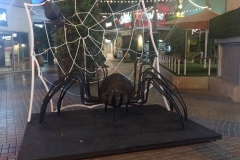 spider