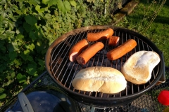 Sausages and buns on a grill