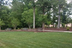 Benches in a field