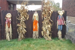 Scarecrows against a Fence