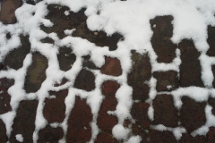 Snow on Bricks