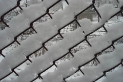 Snow on a Fence