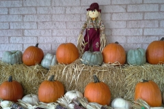 Pumpkins, Hay, and a Scarecrow